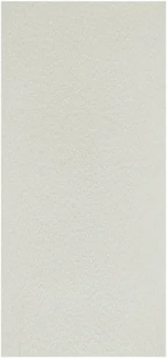 Lychee Surface