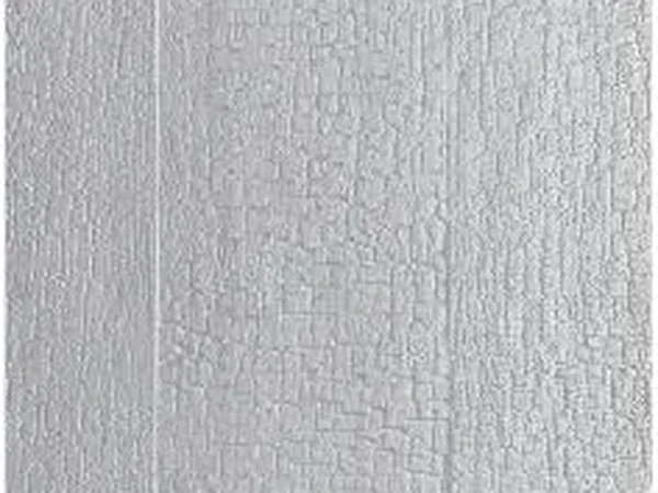 Light Gray — Charred Wood Texture