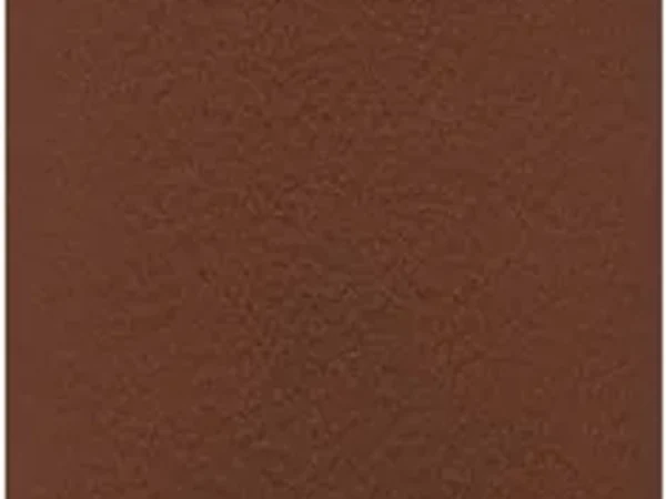 Brick Red — Lychee Surface