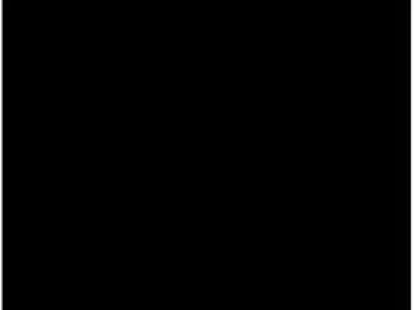 Black — Pine Wood Texture