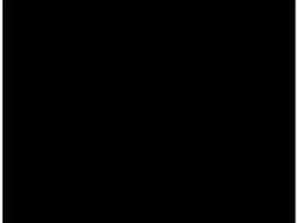 Black — Rough Granite